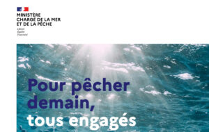 Lire la suite à propos de l’article Enregistrement des captures d’espèces protégées à partir du 10/01/2026