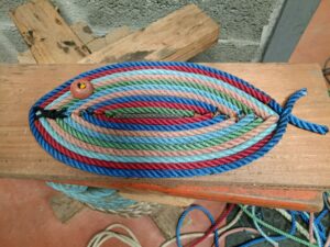 Lire la suite à propos de l’article Atelier de confection de Poissons